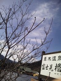 3/6 はなみずき
